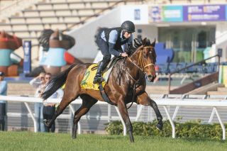 スプリンターズS】連覇へ牙を磨くルガル 「順調度が明らかに上」と杉山