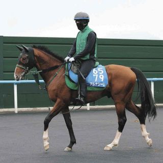 【函館記念】重賞2勝の6歳馬アルナシーム、逆襲ののろし挙げる！　五十嵐助手「衰えるどころかまだまだ成長中」