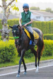 西村淳也、初のG1勝利へ騎乗4戦負け知らずのエルトンバローズとタッグ