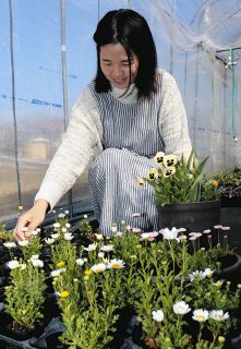 「花いっぱい」へ力を合わせて　飯田の鼎地区で自宅の花壇整備、住民プロジェクト2年目に