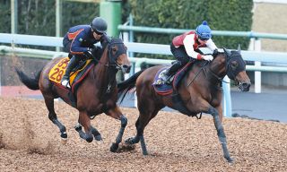 【天皇賞・秋1週前】レガレイラ2馬身追走6F79秒9―11秒5　4年連続G1制覇へ岩田望騎手「来週はもっと反応が良くなる」