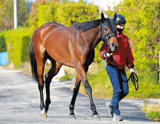 有馬記念】カレンブーケドール5着同着 “グランプリ男”池添起用の