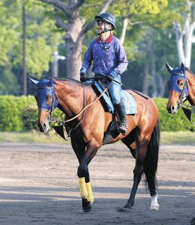 福永祐一の引退式3・4に実施、当日は入場者先着2万人に「福永祐一引退
