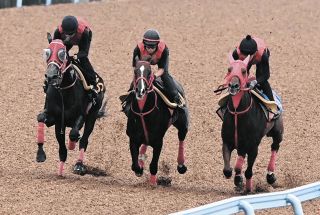 秋華賞】特別登録馬を発表、22頭が登録 桜花賞馬エンブロイダリー