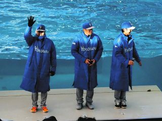 杉谷拳士の現役ラストゲームに粋なサプライズ！ ベルーナドーム鈴木