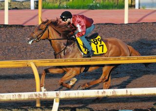 もはや『純白の怪物』驚異レコードで勝ったソダシを吉田隼絶賛「話題