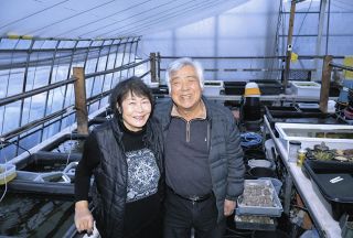 リーマン・ショック、病気…廃業の危機救ったのはいつもメダカ　夫婦二人三脚で営む「メダカの楽園」