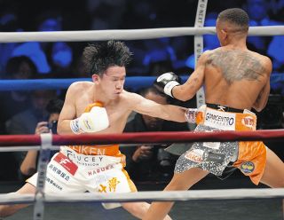 伊達公子さん、スポーツ界のレジェンドたちとの豪華会合明かす ソフト