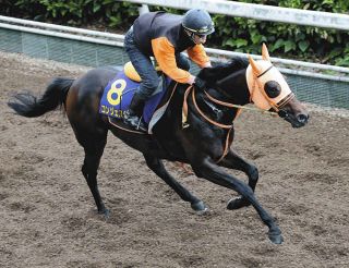 追悼　角田大河騎手 デビュー戦 二戦目 現地的中単勝馬券 メイショウソウゲツ他 ルーキー角田大河がデビュー2連勝 | 競馬ニュース - netkeiba