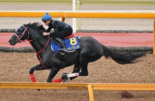有馬記念】カレンブーケドール5着同着 “グランプリ男”池添起用の