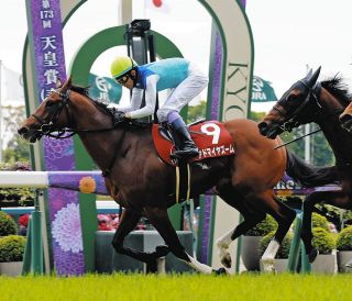 数々の名勝負演じたグラスワンダー死す、98年有馬記念を制し99年に宝塚