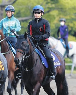 【日本ダービー】共同通信杯2着のカラマティアノス、杉木助手「いいですね。気が入っているなかで落ち着きもありますから」