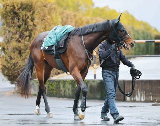 皐月賞馬ジャスティンミラノが電撃引退、種牡馬に…友道師「長所を