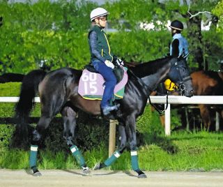 JBCクラシック優勝のキングズソード、明治時代に輸入された牝馬からの