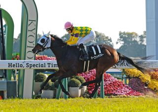 迫る新種牡馬産駒の2歳馬デビュー サトノダイヤモンドらに加えて実績