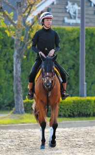 昭和52年 宝塚記念 トウショウボーイ 武邦彦 昭和52年 宝塚記念 トウショウボーイ 武邦彦 昭和52年 宝塚記念