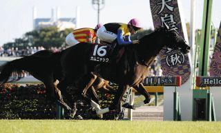函館記念】デビュー4年目の小林美駒騎手がほろ苦い重賞初制覇
