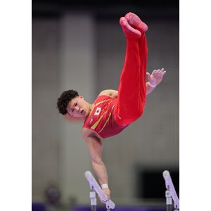値下げしました　体操競技写真集 19 種目別 9月25日体操 男女種目別
